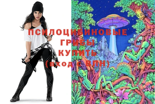 а пвп мука Богородицк